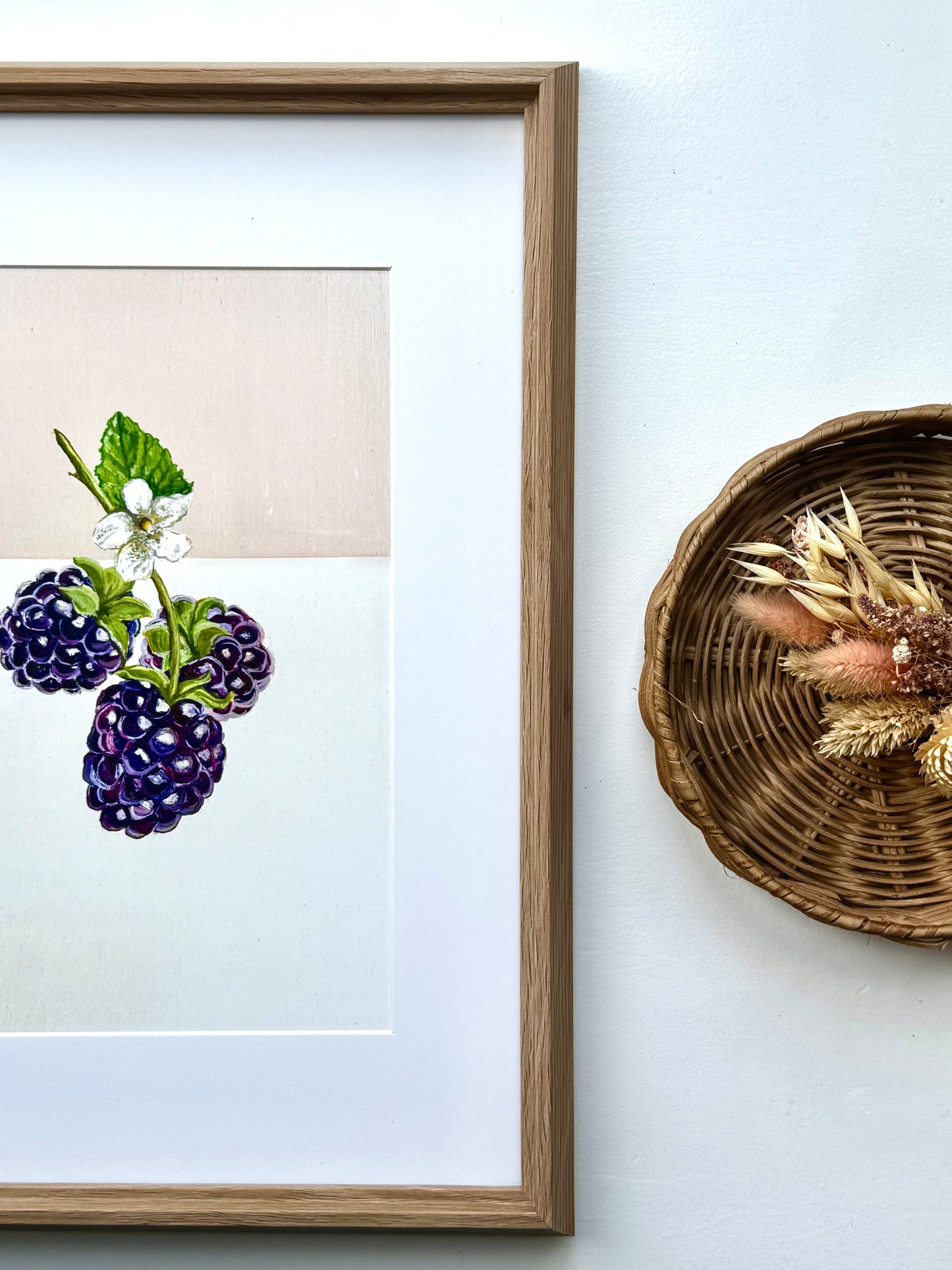 Blackberries ||PRINT||