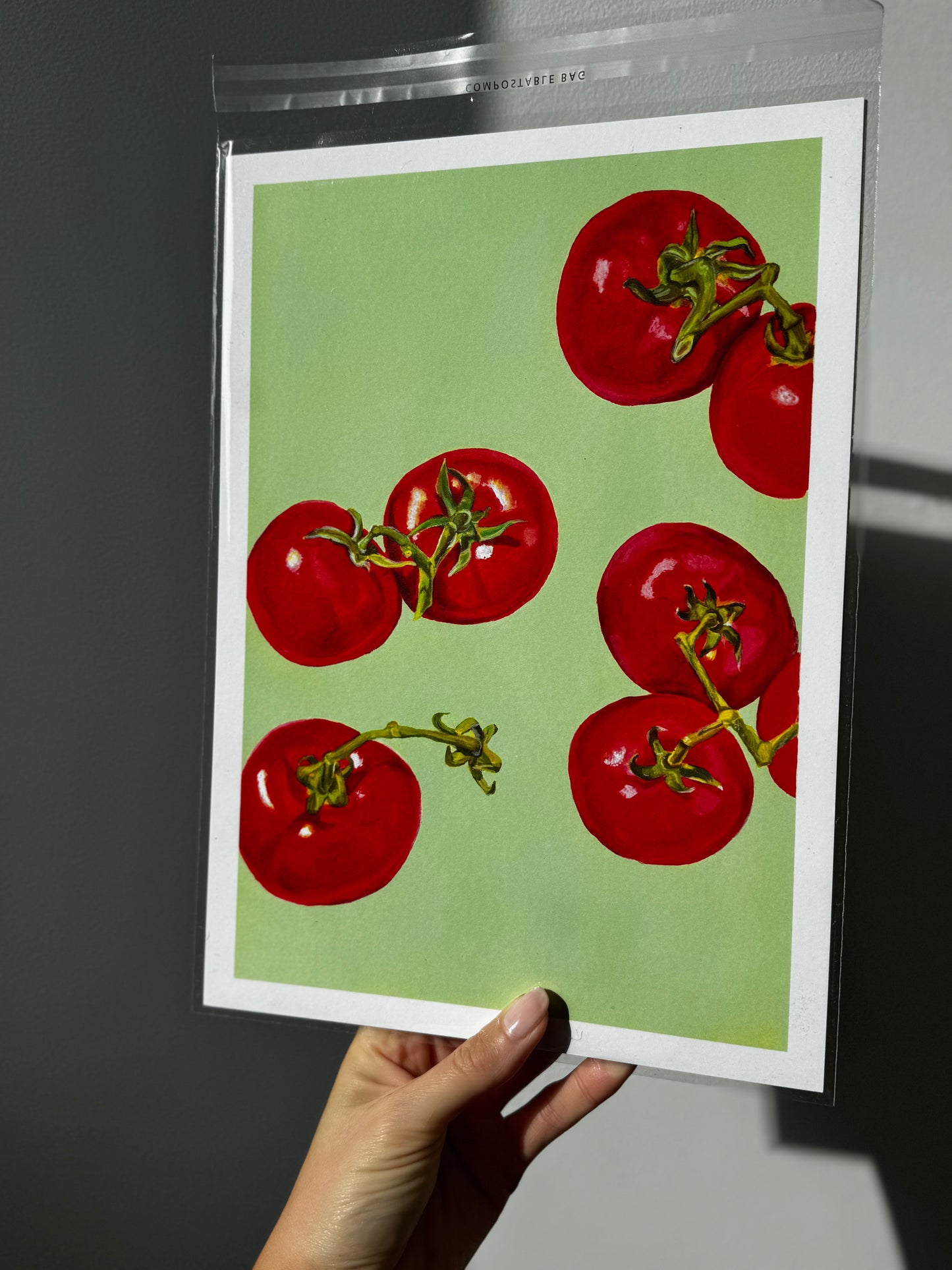 Tomatoes ||PRINT||